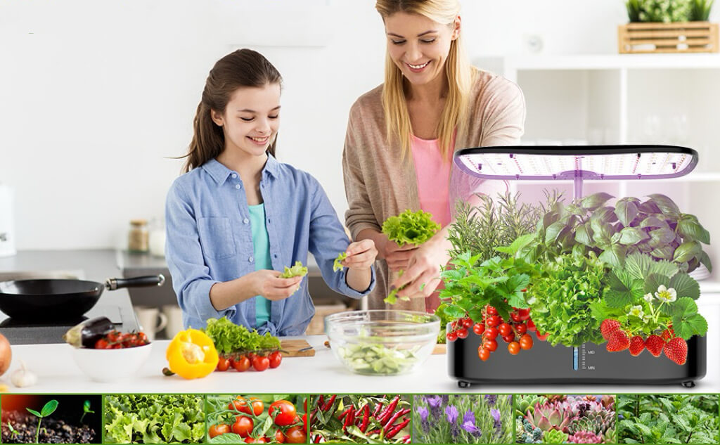 Hydroponic Growing System 24 Watt | Indoor Hydroponic Garden | Grow Ma ...