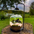 Lights for Bioactive Terrarium | Terrarium Lamp | Best LED Lights for Terrarium | Cultiuana FF-091-1