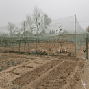 Overhead Netting For Chickens | 1.2-Inch (3cm) Nylon Mesh Poultry Netting (Available in Multiple Sizes)-2