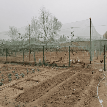 Overhead Netting For Chickens | 1.2-Inch (3cm) Nylon Mesh Poultry Netting (Available in Multiple Sizes) - 0