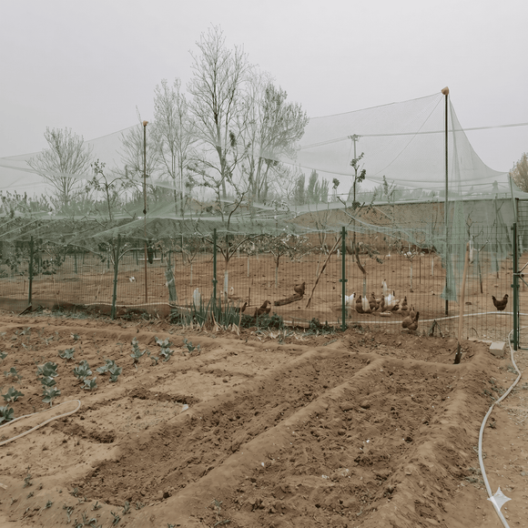Overhead Netting For Chickens | 1.2-Inch (3cm) Nylon Mesh Poultry Netting (Available in Multiple Sizes)