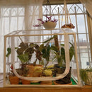 Frost Protection for Plants | Plant Covers for Winter | Plant Greenhouses | Cultiuana MK-298-2