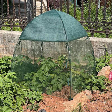 Plant Protection Cover | Sun Protection for Plants | Plant Protection from Bugs | Single Plant Greenhouse | Cultiuana YY-901