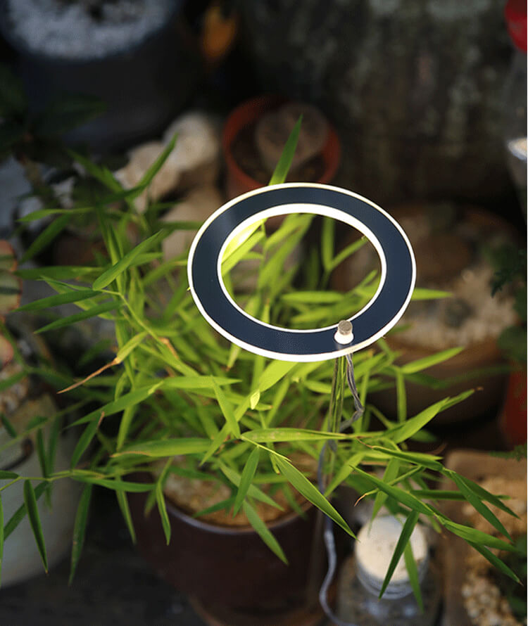 Desk Grow Light | Halo Grow Light | Small Plant Light for Office | Cultiuana QO-302 Small Grow Light for Houseplants