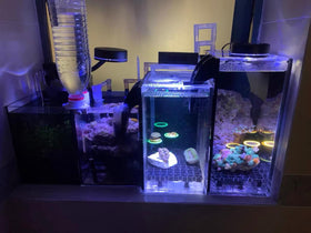 Coral Light | White Color Coral Lighting | Reef Tank Lighting | Cultiuana CL-849 - 0