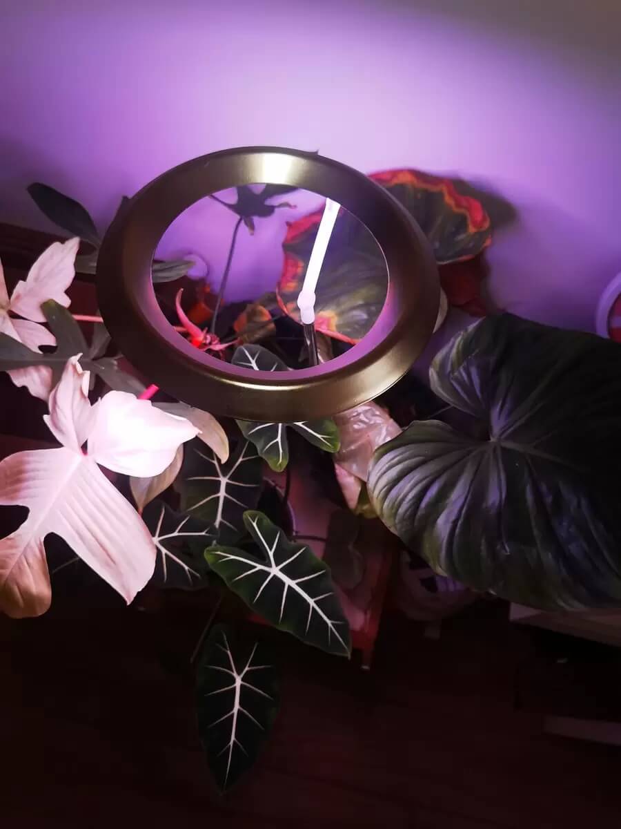 Small Grow Light | Small Grow Lights for Indoor Plants | Small LED Grow Lights | Cultiuana QD-505 Small Grow Light for Houseplants - 0