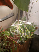 Small Grow Lights for Houseplants | Houseplant Lights | Grow Lights for Indoor Plants | Cultiuana QI-101 Grow Light Bar-9