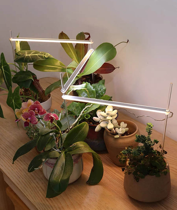 Small Grow Lights for Houseplants | Houseplant Lights | Grow Lights for Indoor Plants | Cultiuana QI-101 Grow Light Bar