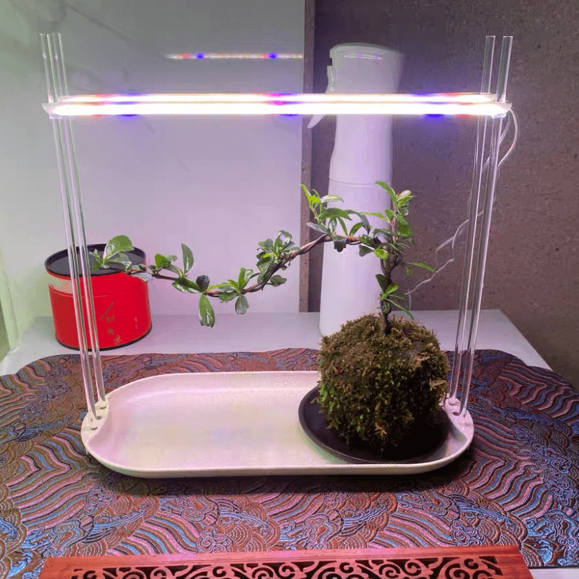 Small Grow Lights for Houseplants | Houseplant Lights | Grow Lights for Indoor Plants | Cultiuana QI-101 Grow Light Bar