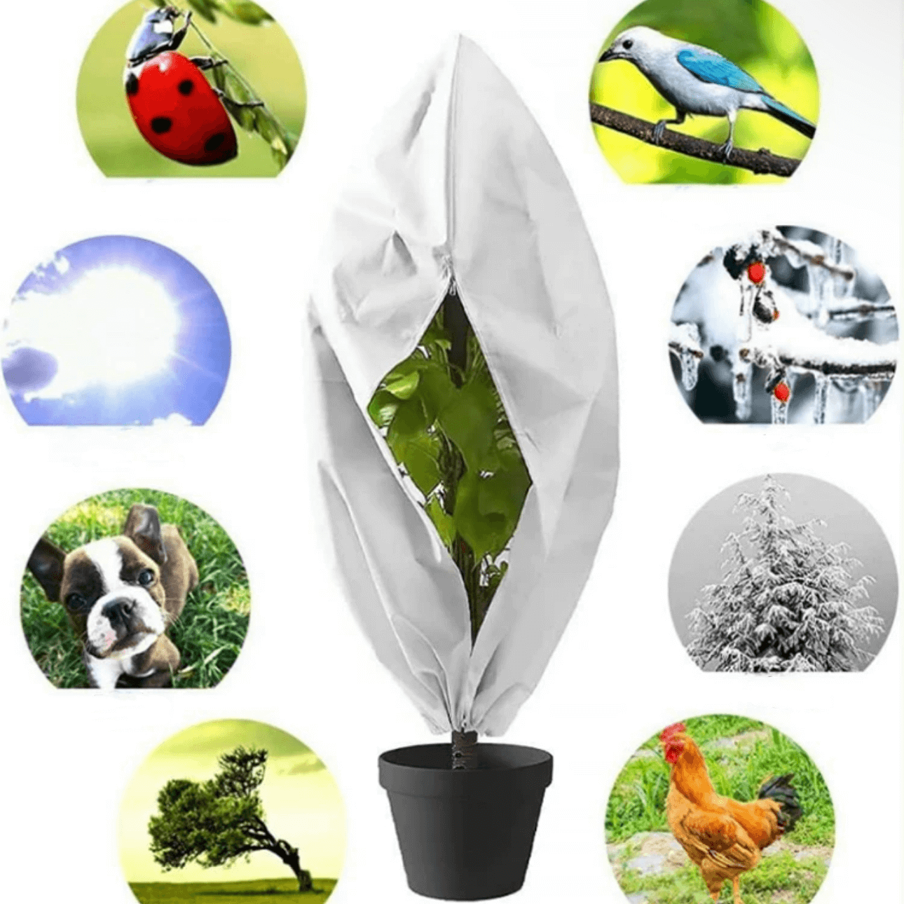 Plant Cover for Winter | Frost Cloth for Plants | Freeze Protection Covers for Plants