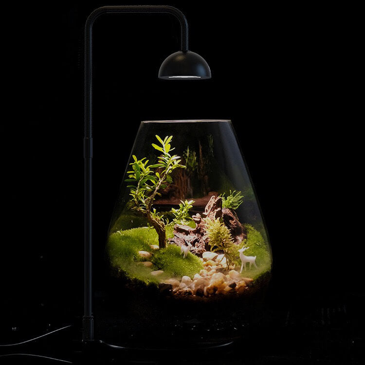 terrarium plant light Lights for Bioactive Terrarium | Terrarium Lamp | Best LED Lights for Terrarium