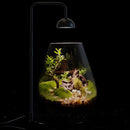 Lights for Bioactive Terrarium | Terrarium Lamp | Best LED Lights for Terrarium | Cultiuana FF-091-2