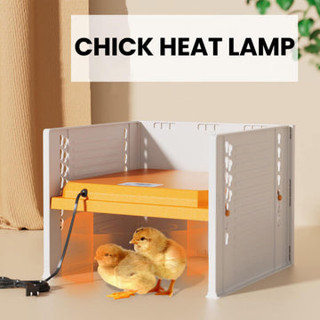 Chick Heat Lamp | Cozy Coop Chicken Heater | Brooder Heat Lamp | Cultiuana OCX-190 - 0