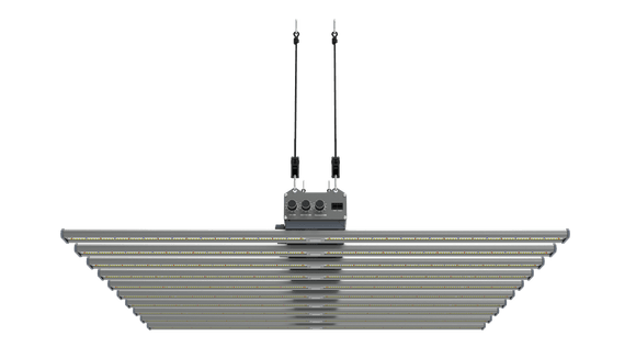 Adjustable Grow Light | Adjustable Spectrum LED Grow Lights | 1000w Grow Light | Cultiuana CAL-1000 Adjustable 1000 Watt Spectrum LED Grow Light - Samsung LEDs, UV & IR