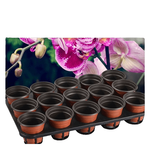 thumbnail image 2 of Greenhouse Carry Trays For 6-Pocket 1 Gallon Shuttle Pots – Sturdy, Case Of 50, Made In USA 2 of 5