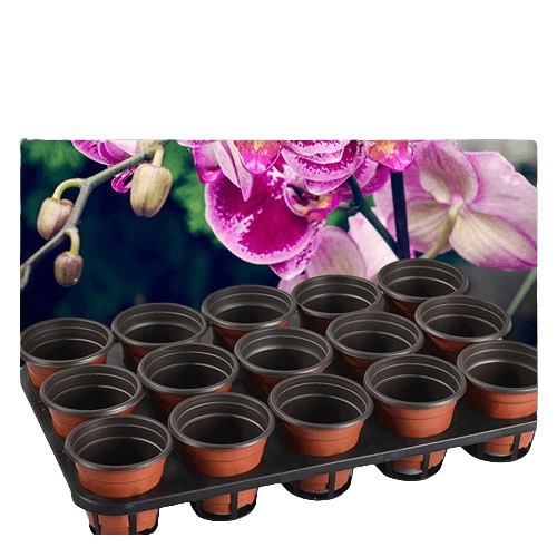 Greenhouse Shuttle Carry Tray for Pots - 10 Pack, 9/12/15 Cells, For Moving Seedling Small Plants-5