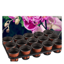 Greenhouse Shuttle Carry Tray for Pots - 10 Pack, 9/12/15 Cells, For Moving Seedling Small Plants-5
