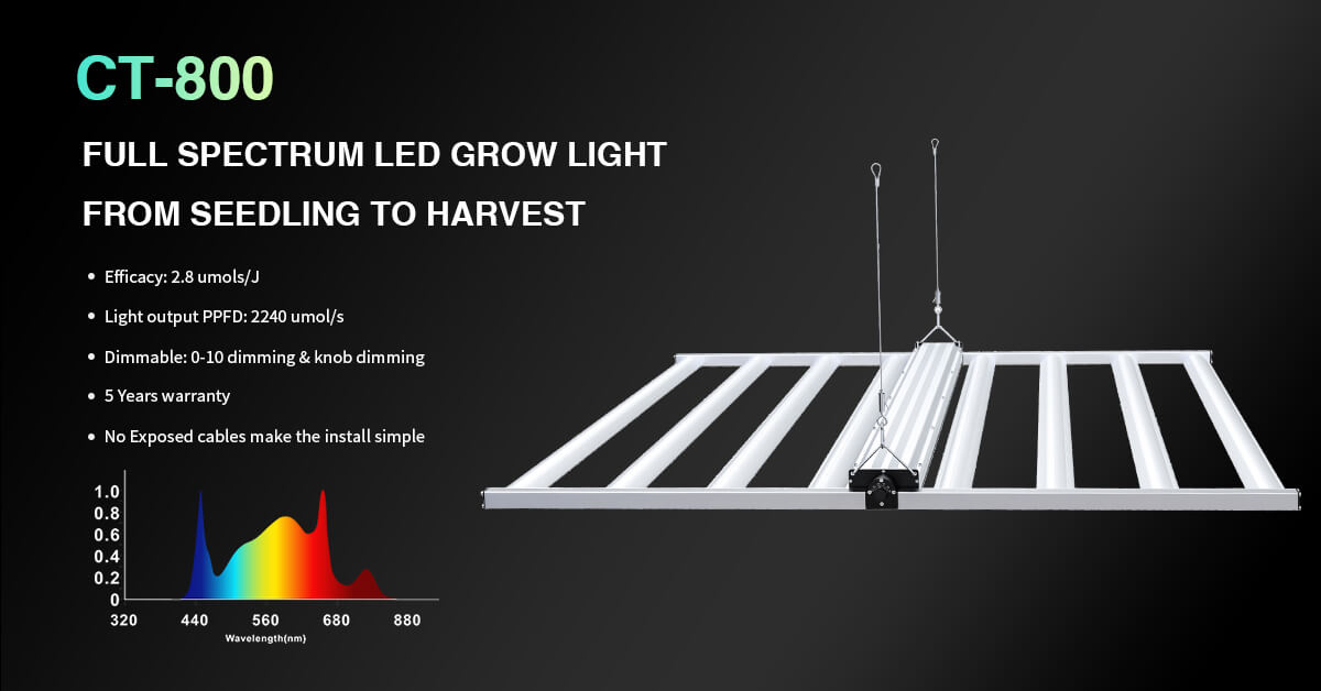 Cultiuana 800w led grow light mobile version