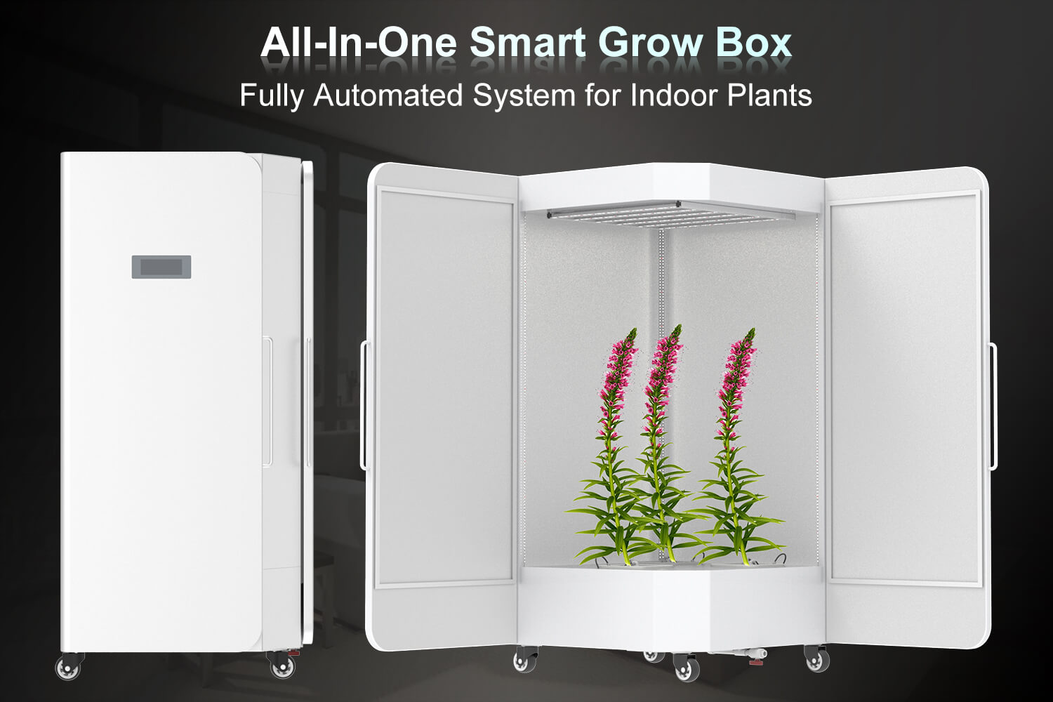 Cultiuana smart grow box