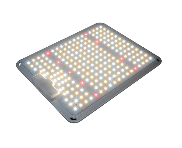 110 Watt LED Board Grow Light | Grow Lights for Seedlings | 2x2ft Grow Light | Cultiuana TG-100 Full Spectrum LED Grow Light