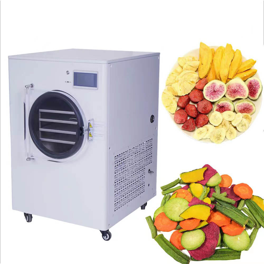FreezeMaster Small Freeze Dryer - Household, Quick Operation, Stainless Steel, Auto Control