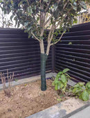 Breathable Tree Wrap for Winter – 3-Layer Trunk Protector | Cultiuana-10