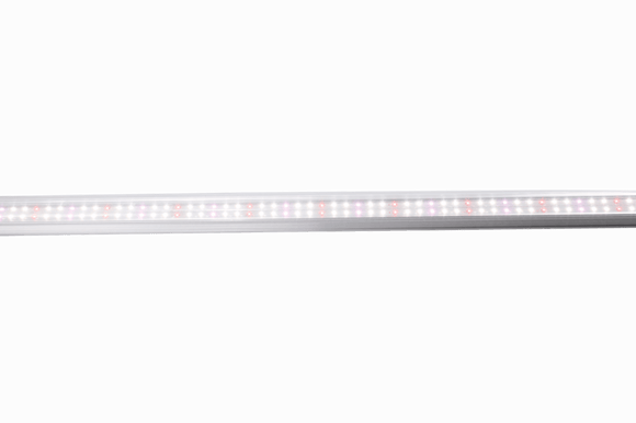 T8 LED Grow Lights | 4ft T8 LED Grow Light Bulbs | Full Spectrum T8 LED Grow Lights | Cultiuana GZ-100 T8 Bulbs