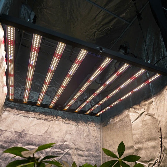 700 Watt Adjustable Spectrum LED Grow Light | Samsung Full Spectrum LED | UV IR LED Grow Light for 4x4 / 5x5 Tent | Cultiuana MJ-700