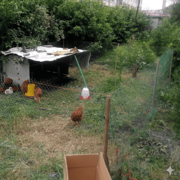 Overhead Netting For Chickens | 1.2-Inch (3cm) Nylon Mesh Poultry Netting (Available in Multiple Sizes)
