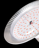 18 Watt Dragon Fruit Grow Light | Small Light for Plants | Grow Light Bulb-4