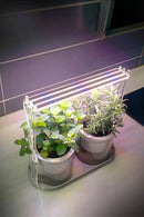 Small Grow Lights for Houseplants | Houseplant Lights | Grow Lights for Indoor Plants | Cultiuana QI-101 Grow Light Bar-3