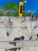 Digital PH Tester Pen for Water Hydroponics | Accurate PH Testing | Water Quality Tester | Cultiuana HNT-0091-11