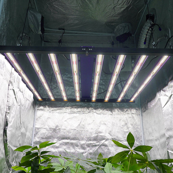700 Watt Adjustable Spectrum LED Grow Light | Samsung Full Spectrum LED | UV IR LED Grow Light for 4x4 / 5x5 Tent | Cultiuana MJ-700