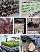 Smart Inline Duct Fan System With Controller |10 Speed Control | Temp Control | Humidity Control| Cultiuana-6