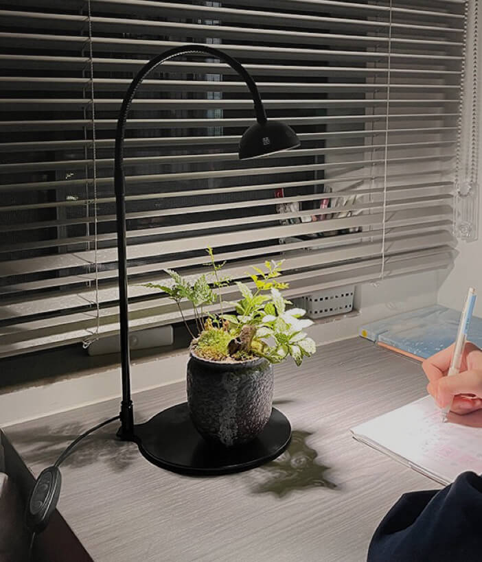 best light for terrarium plants Lights for Bioactive Terrarium | Terrarium Lamp | Best LED Lights for Terrarium