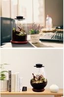 LED Lighting For Terrarium Plants | Terrarium LED Grow Lights | Cultiuana FF-081-5