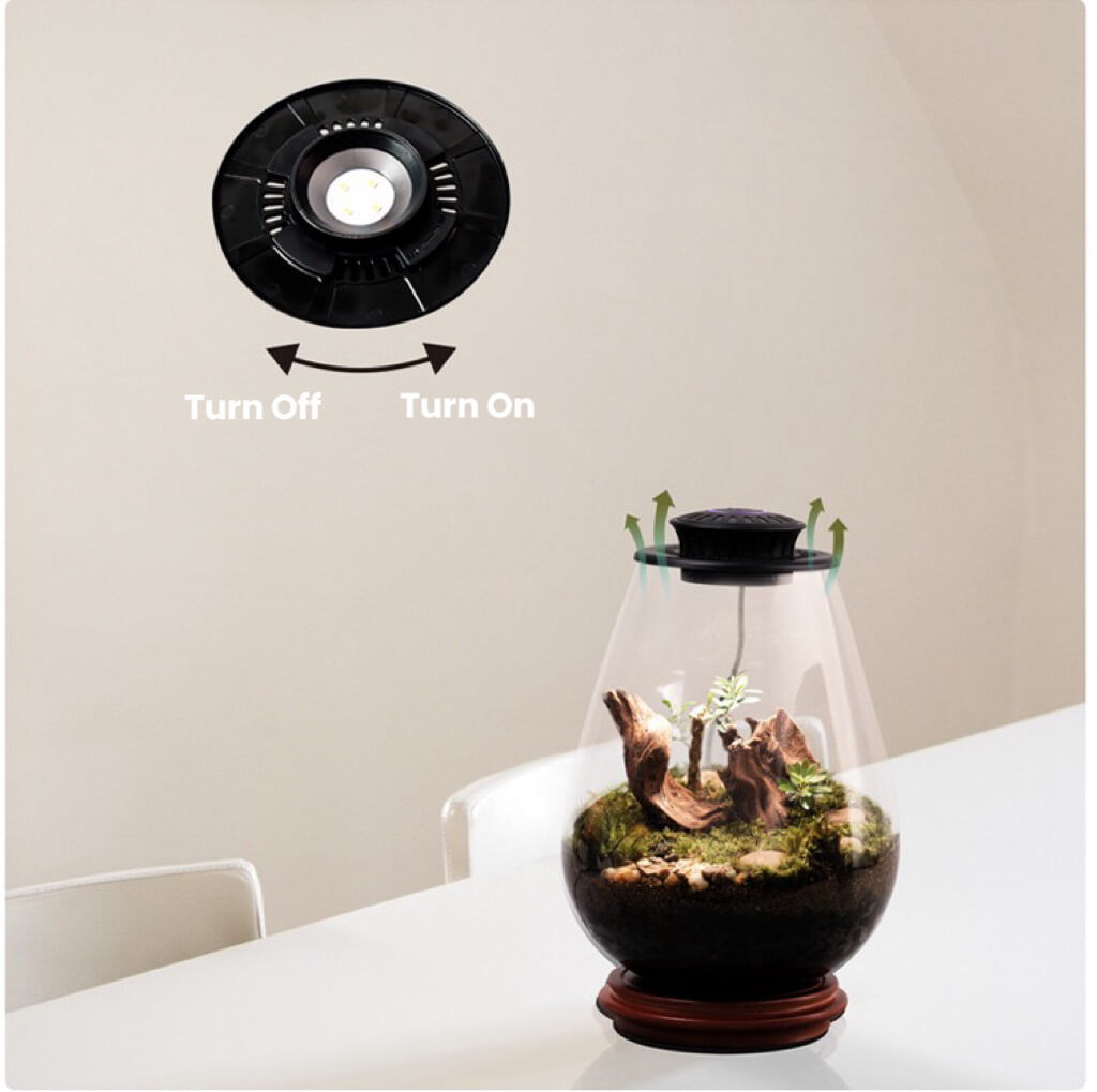 lighting for terrarium plants LED Lighting For Terrarium Plants | Terrarium LED Grow Lights