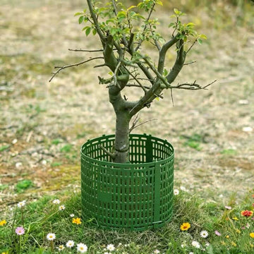 Tree Guards for Trees - Plastic Tree Trunk Protector to Protect Against Deer, Rabbits & Squirrels | Cultiuana