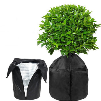 Plant Protection