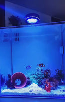 Coral Light | White Color Coral Lighting | Reef Tank Lighting | Cultiuana CL-849-4