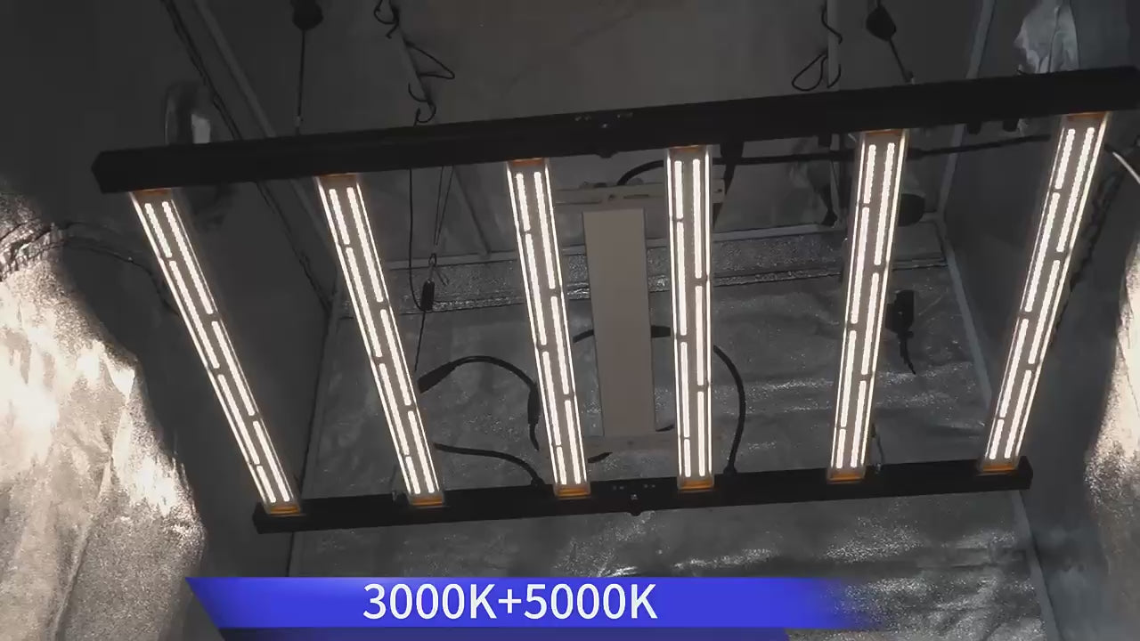 2x4 Grow Light | 320 Watt Full Spectrum LED Grow Lights | UV and IR Red Grow LED Light | Germany Stock | Cultiuana MJP-320-6