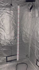 N240 LED Interlighting - Greenhouse Supplemental Lights, 40 Watts, 2.8 µmol/J, IP66, Full Spectrum | Cultiuana-5