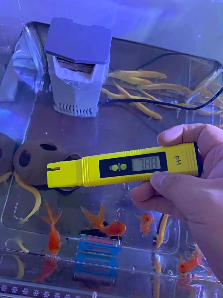 Digital PH Tester Pen for Water Hydroponics | Accurate PH Testing | Water Quality Tester | Cultiuana HNT-0091