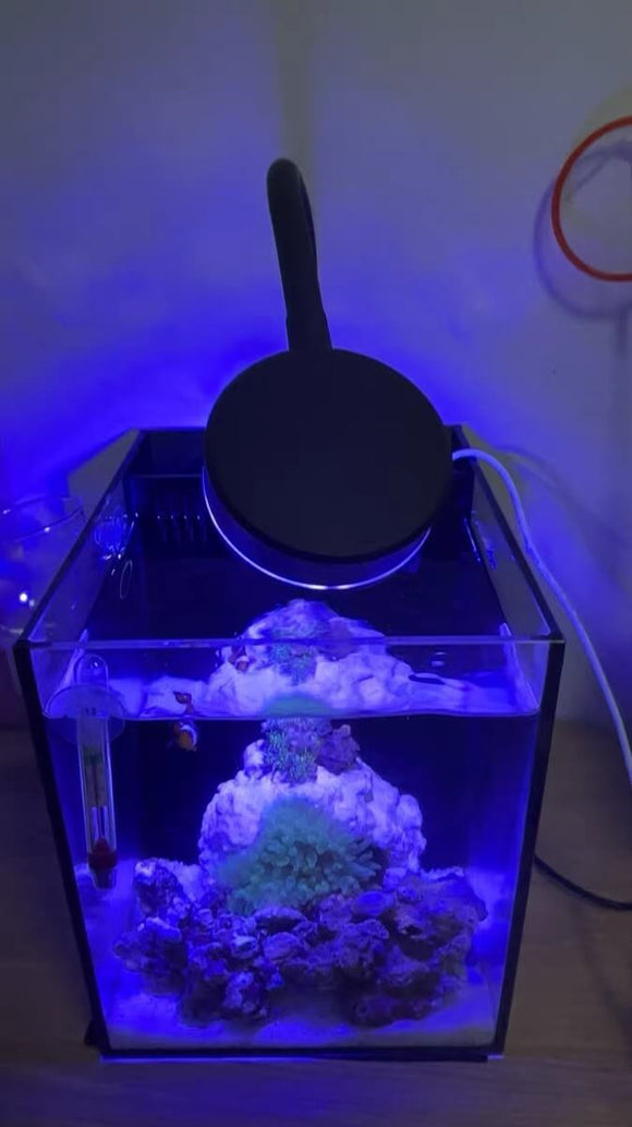 Coral Light | White Color Coral Lighting | Reef Tank Lighting | Cultiuana CL-849