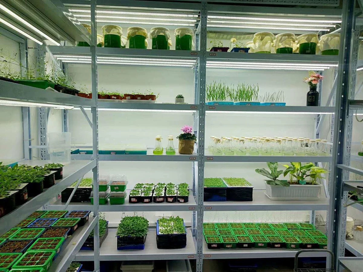 Dropshipping LED Grow Lights With Cultiuana