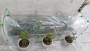 Small Greenhouses | Mini Greenhouse Hoops | DIY Garden Hoops | Portable Greenhouse for Indoor & Outdoor TTM-878-9
