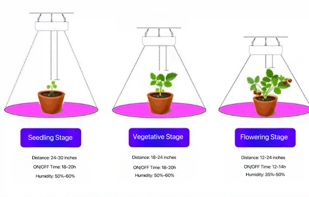 Small Grow Light | Grow Lights for Small Space | Small Grow Light for Indoor Plants | Cultiuana MD-225