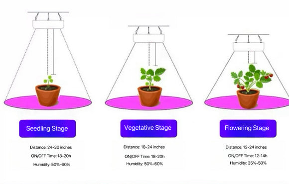Small Grow Light | Grow Lights for Small Space | Small Grow Light for Indoor Plants | Cultiuana MD-225