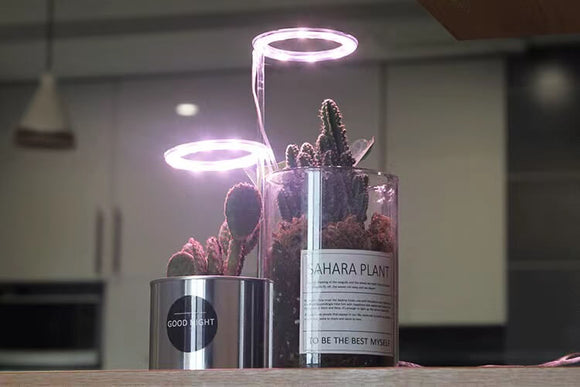 Desk Grow Light | Halo Grow Light | Small Plant Light for Office | Cultiuana QO-302 Small Grow Light for Houseplants