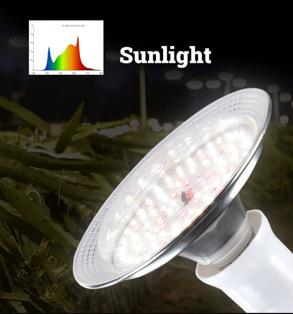18 Watt Dragon Fruit Grow Light | Small Light for Plants | Grow Light Bulb